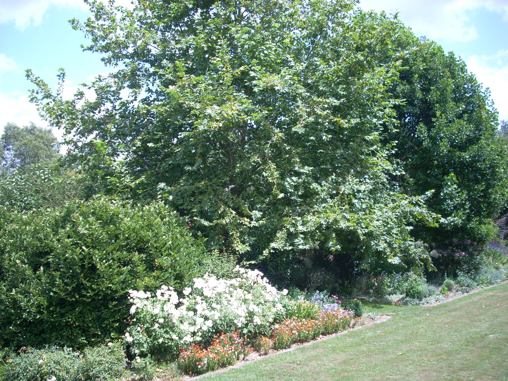 637319892397625914Terrace Bed 3