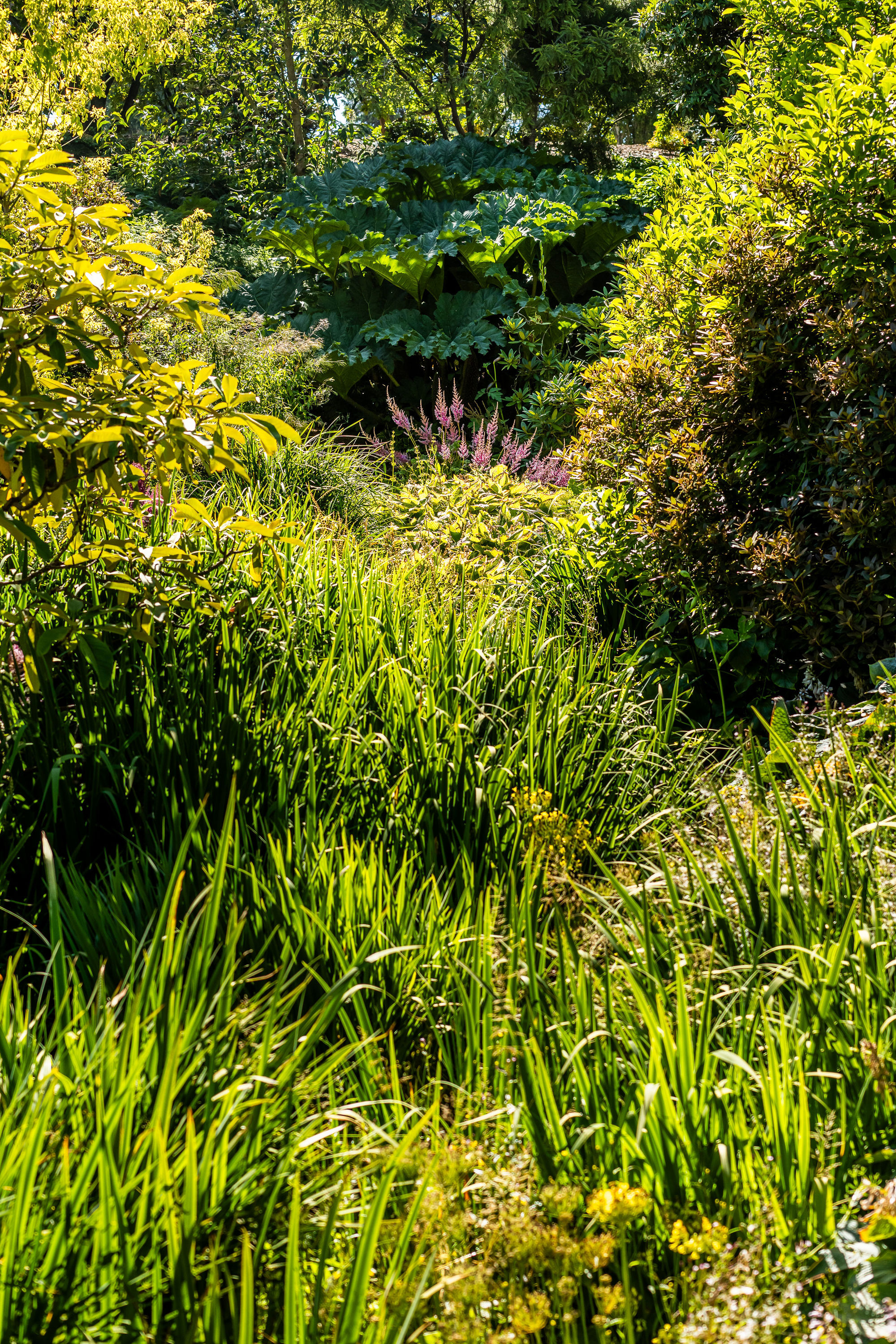Bannermanpark 29