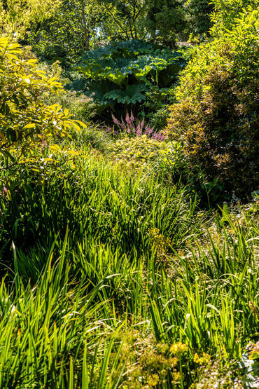 Bannermanpark 29