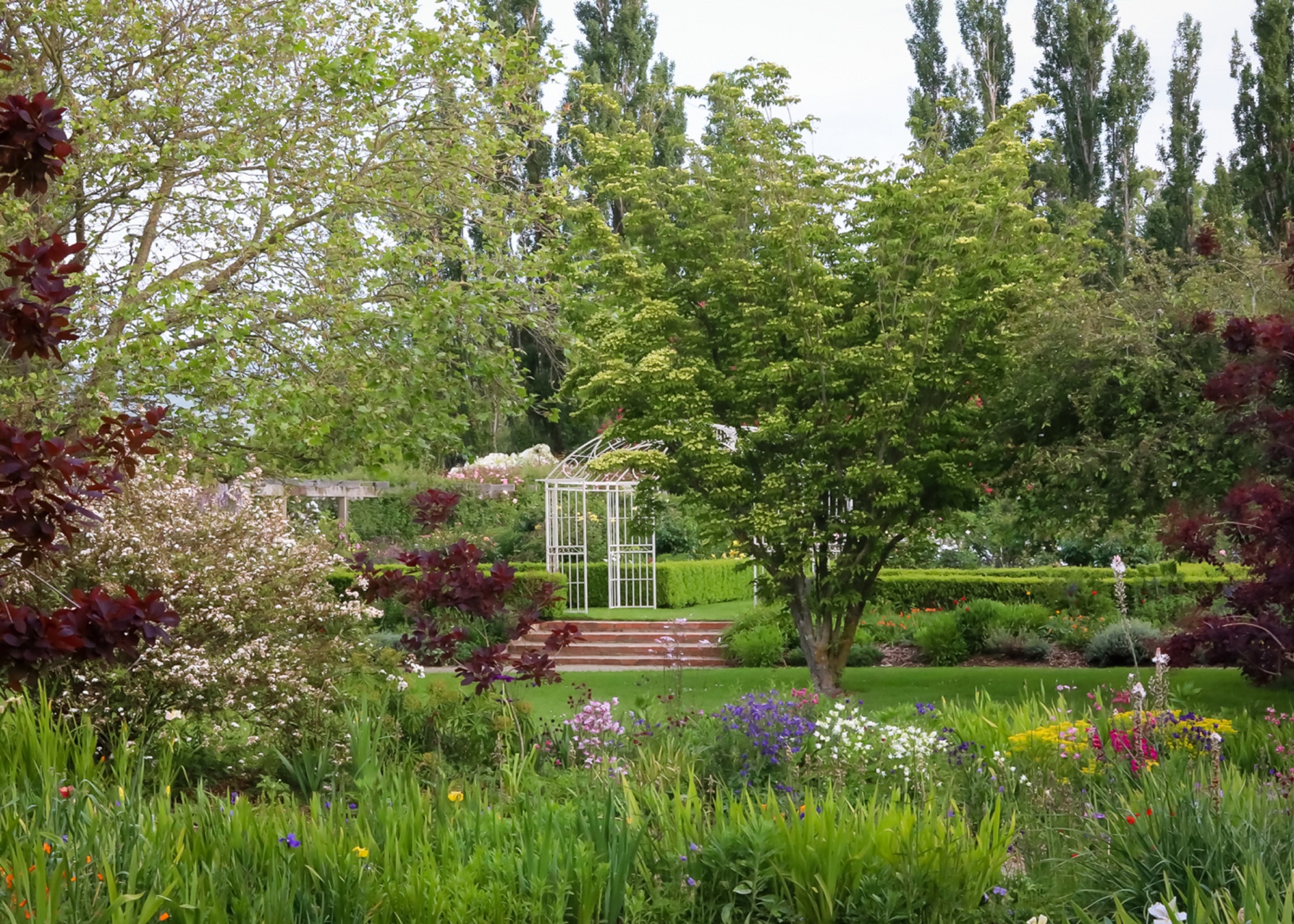 Rose Gardens