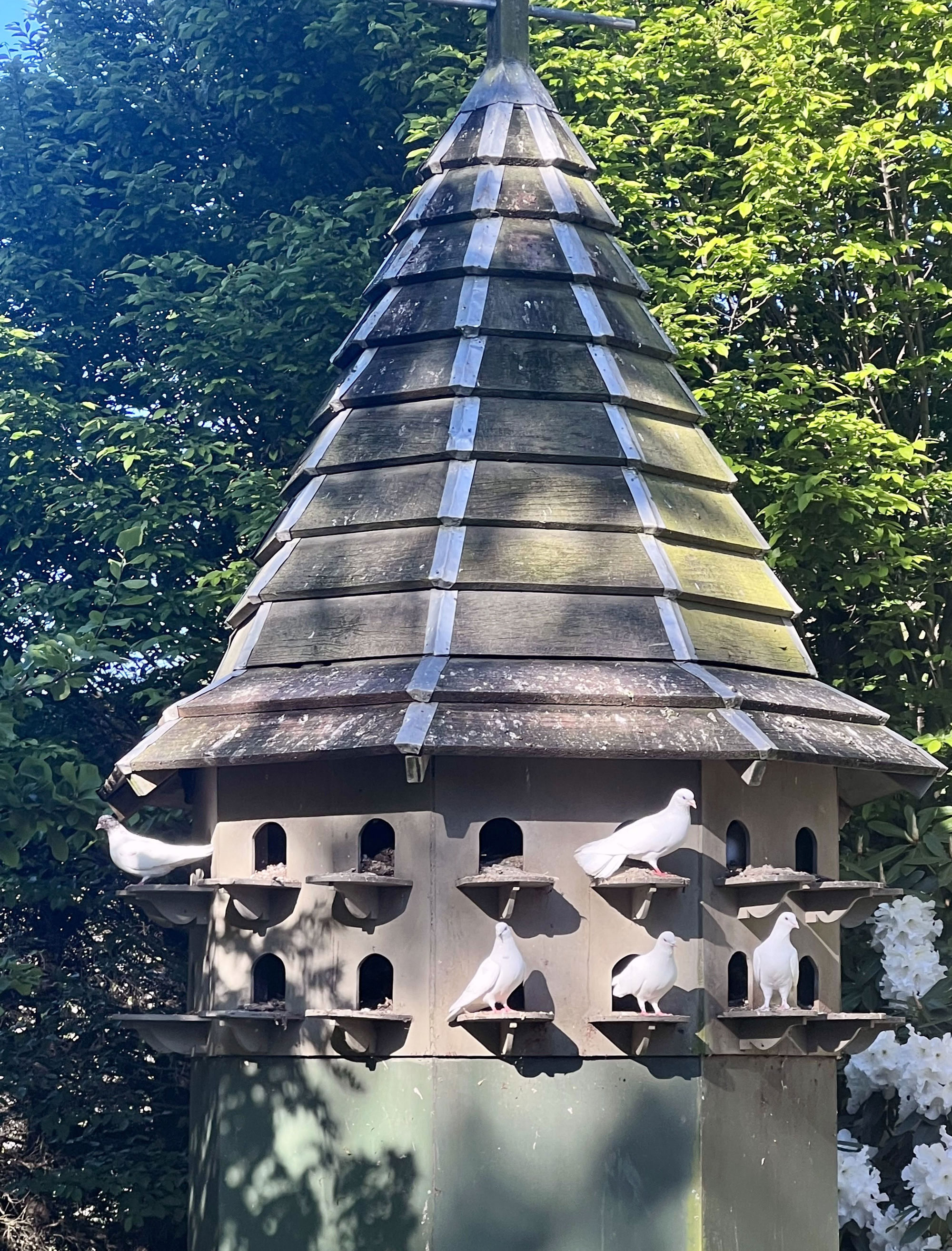 Dovecoat by the Pond