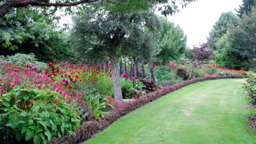 The Red Garden