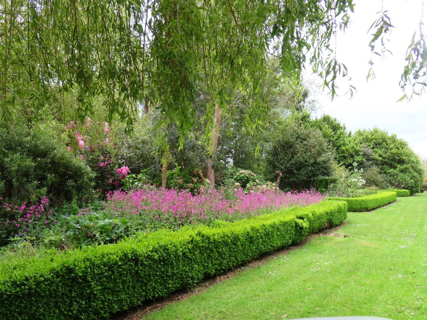 GARDEN 2.jpg