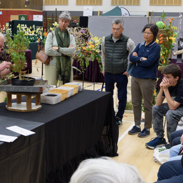 Bonsai Demonstration