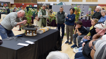 Bonsai Demonstration
