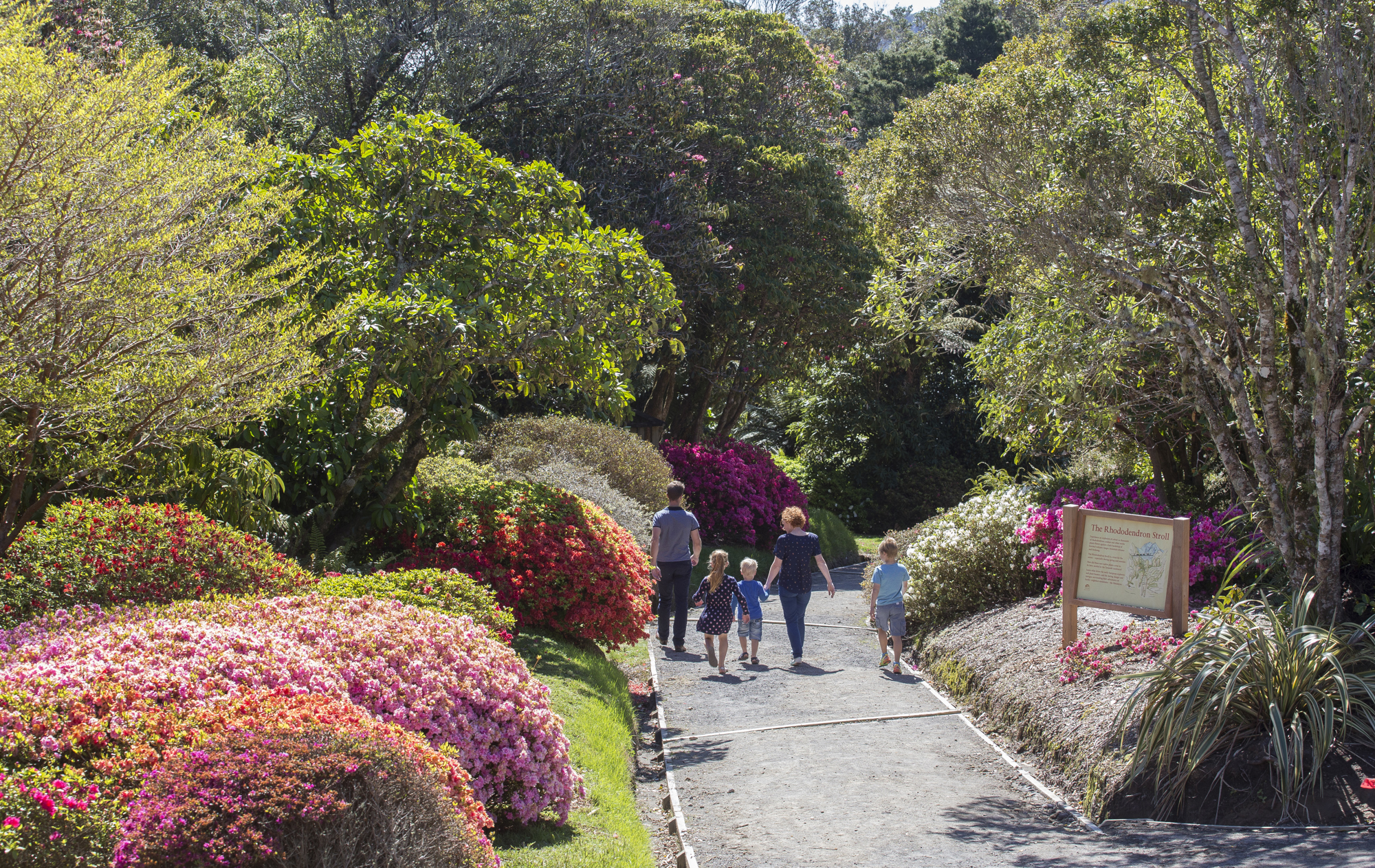 Pukeiti Botanic Garden Credit Taranaki Regional Council