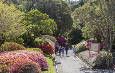 Pukeiti Botanic Garden Credit Taranaki Regional Council