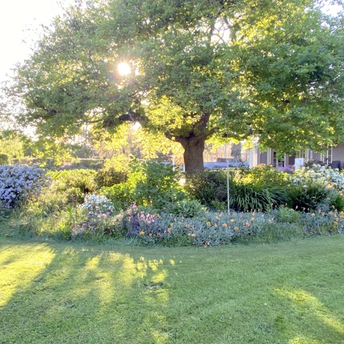 Hewitts Homestead image