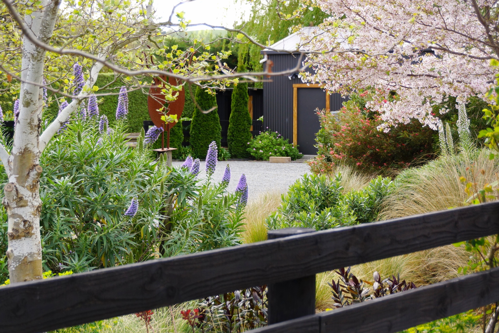 Blue House (7)