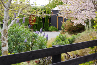 Blue House (7)