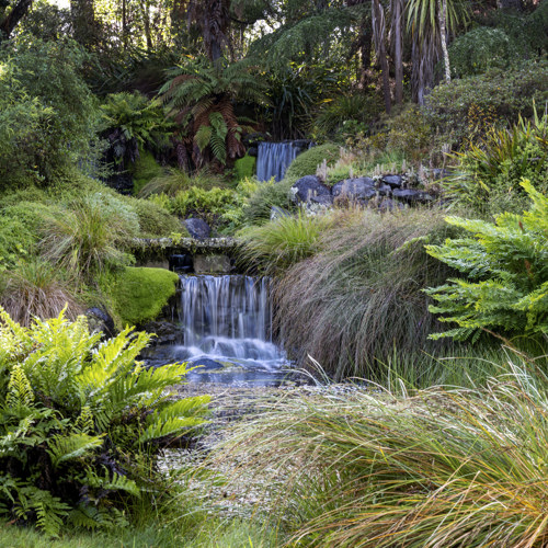 Ayrlies image