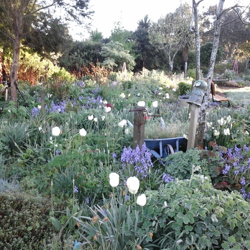 Folster Gardens image