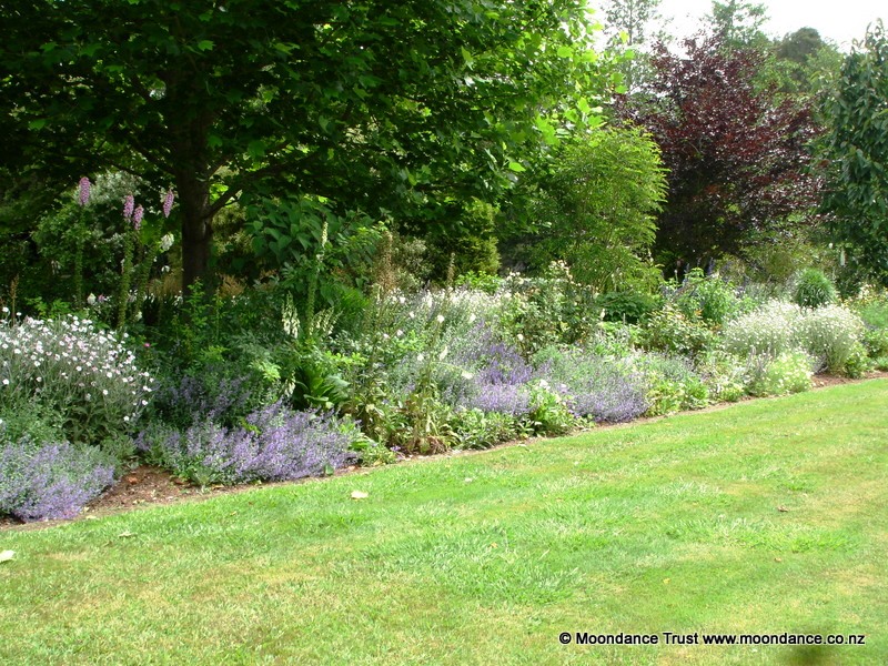 Terrace Bed 5