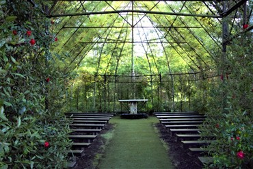 IMG 0602 (3)
