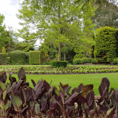 Longwood image