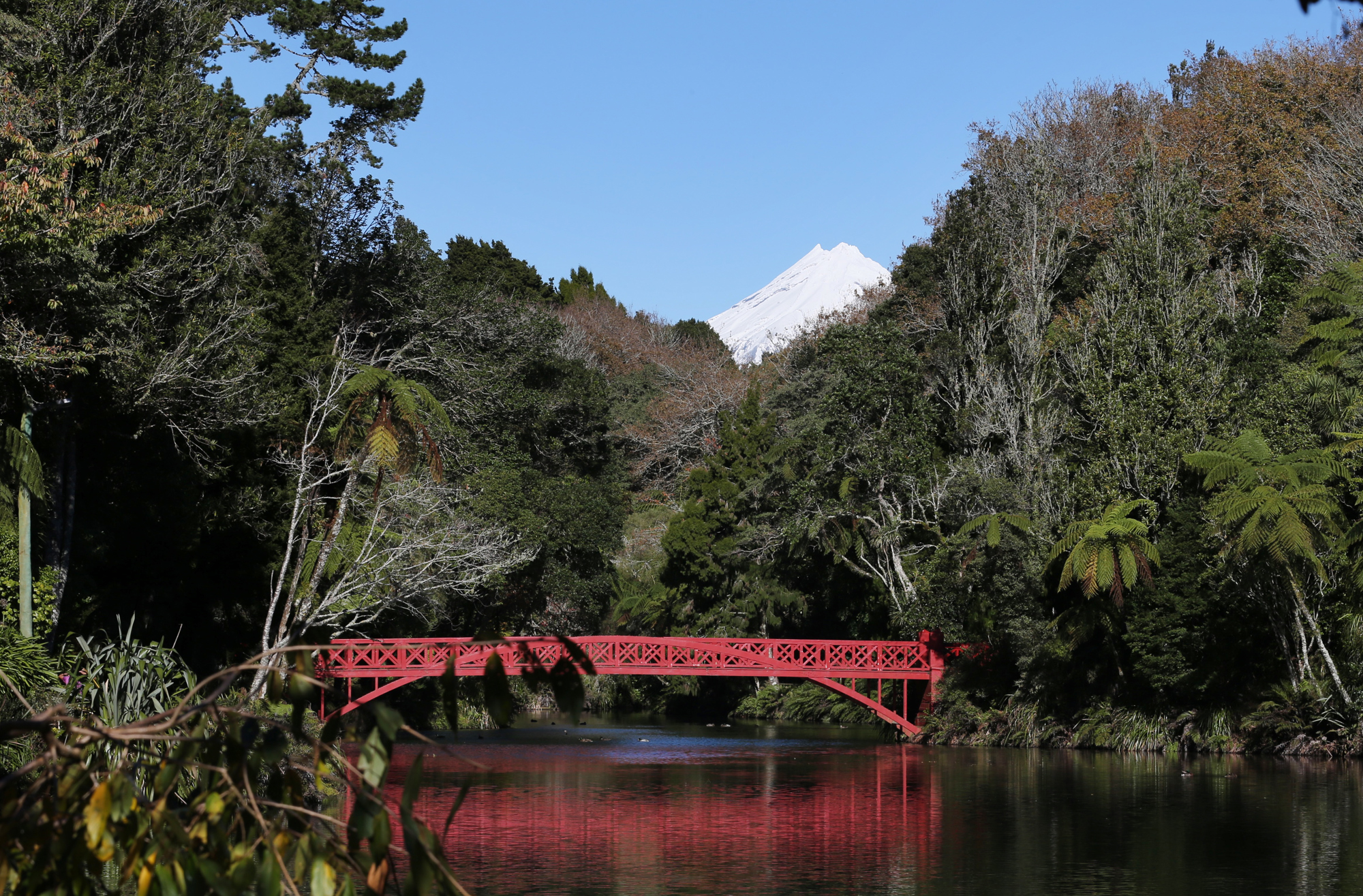 Pukekura Park Poets Bridge Lake Mountain Rob Tucker