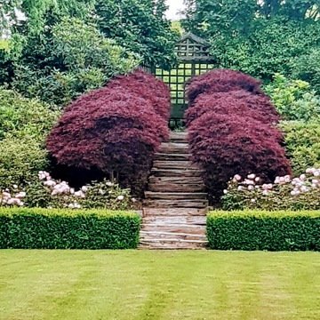 20201221_104223.jpg