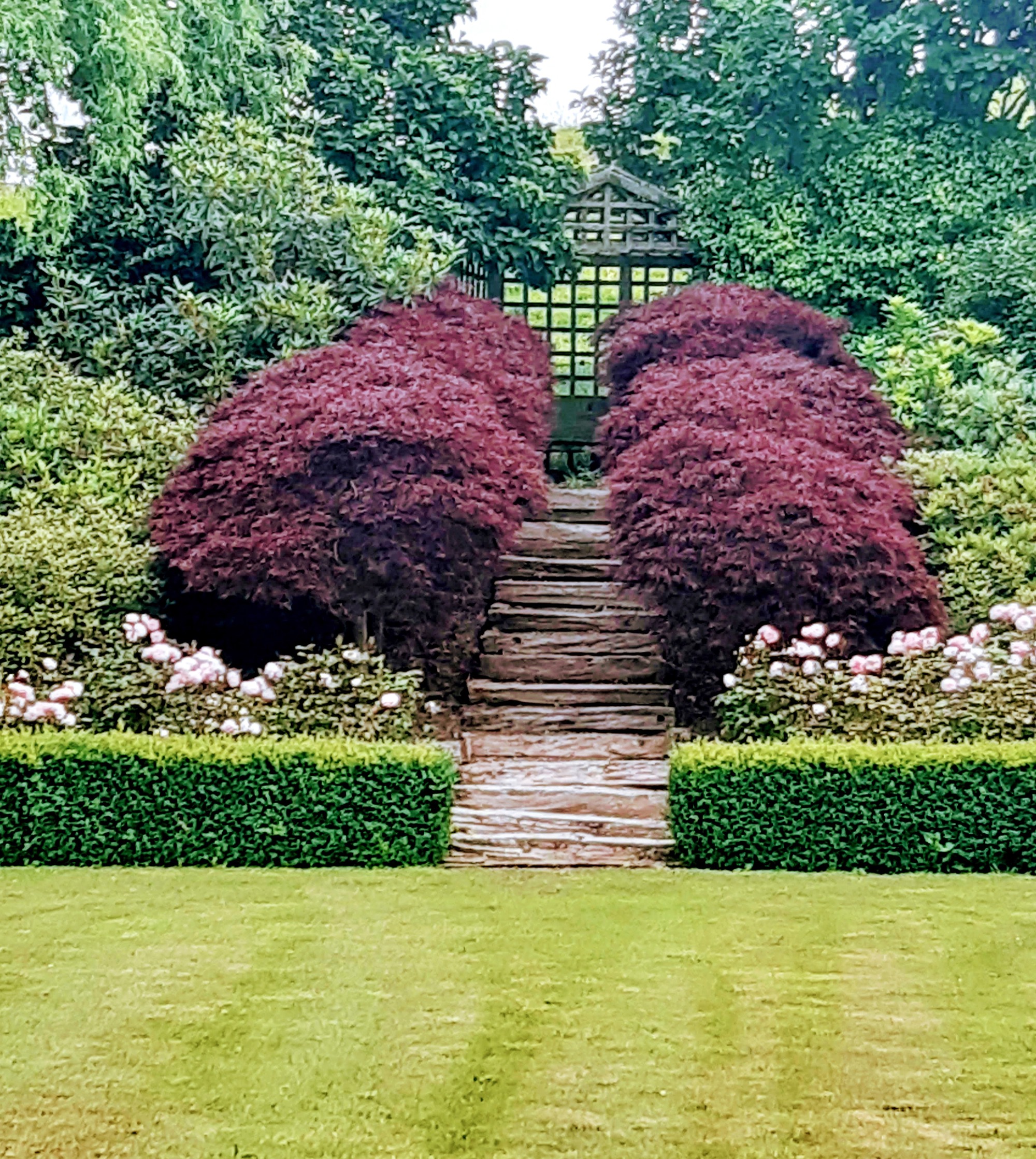 20201221_104223.jpg