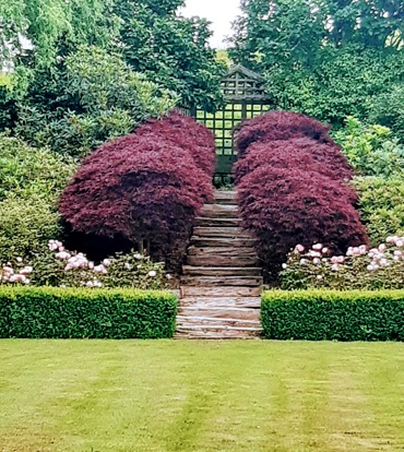 20201221_104223.jpg