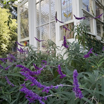 30 Ostend Rd (hero1).jpg