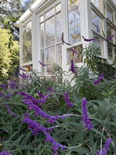 30 Ostend Rd (hero1).jpg