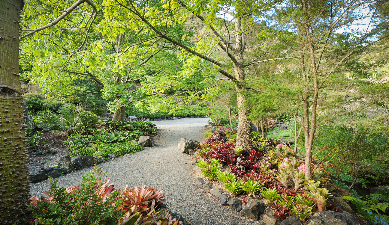 WQG Landscape 12