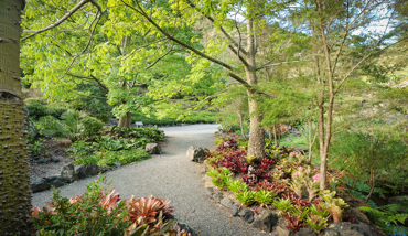 WQG Landscape 12