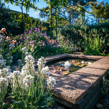 Wright Garden Peter Rees REV06057