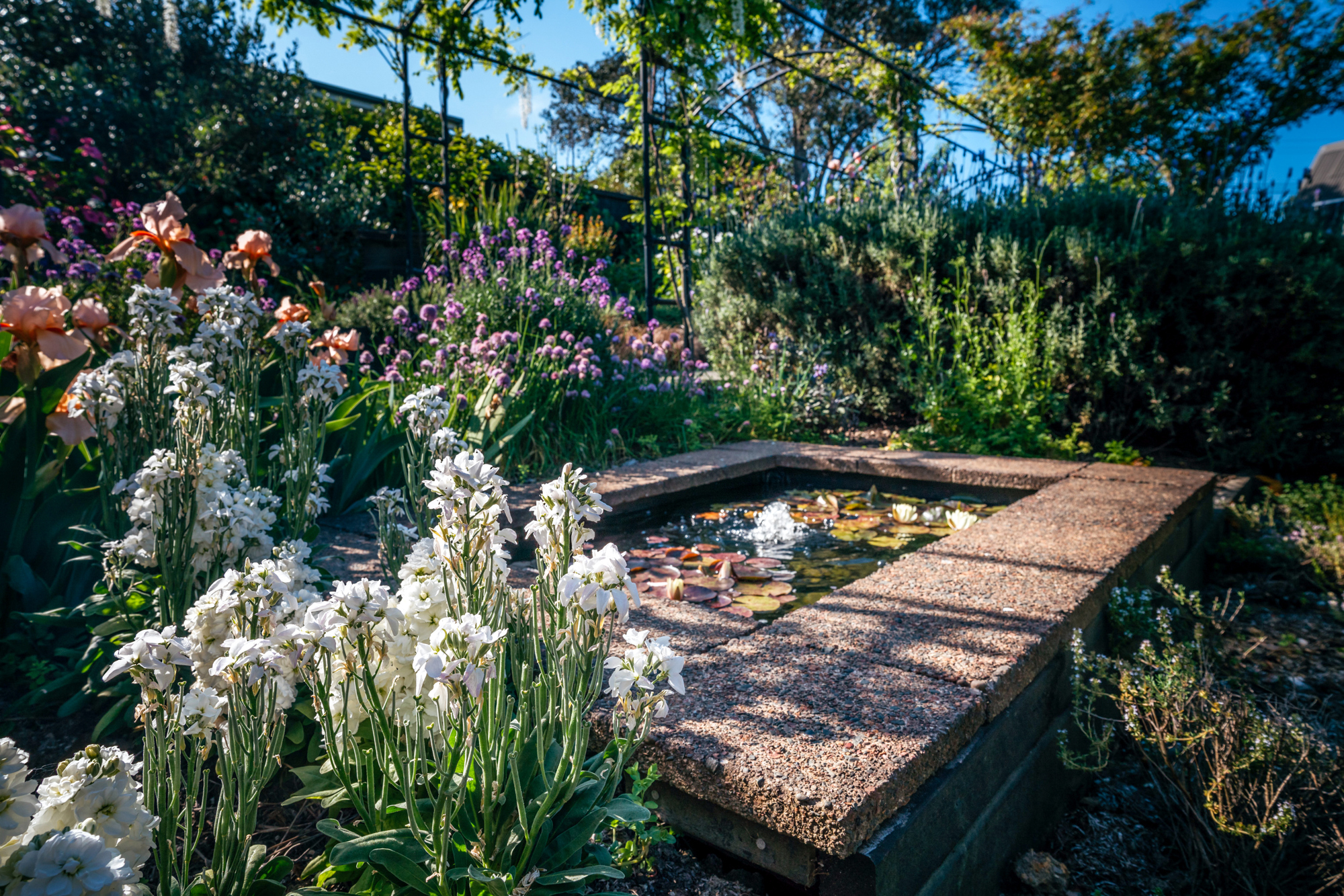 Wright Garden Peter Rees REV06057