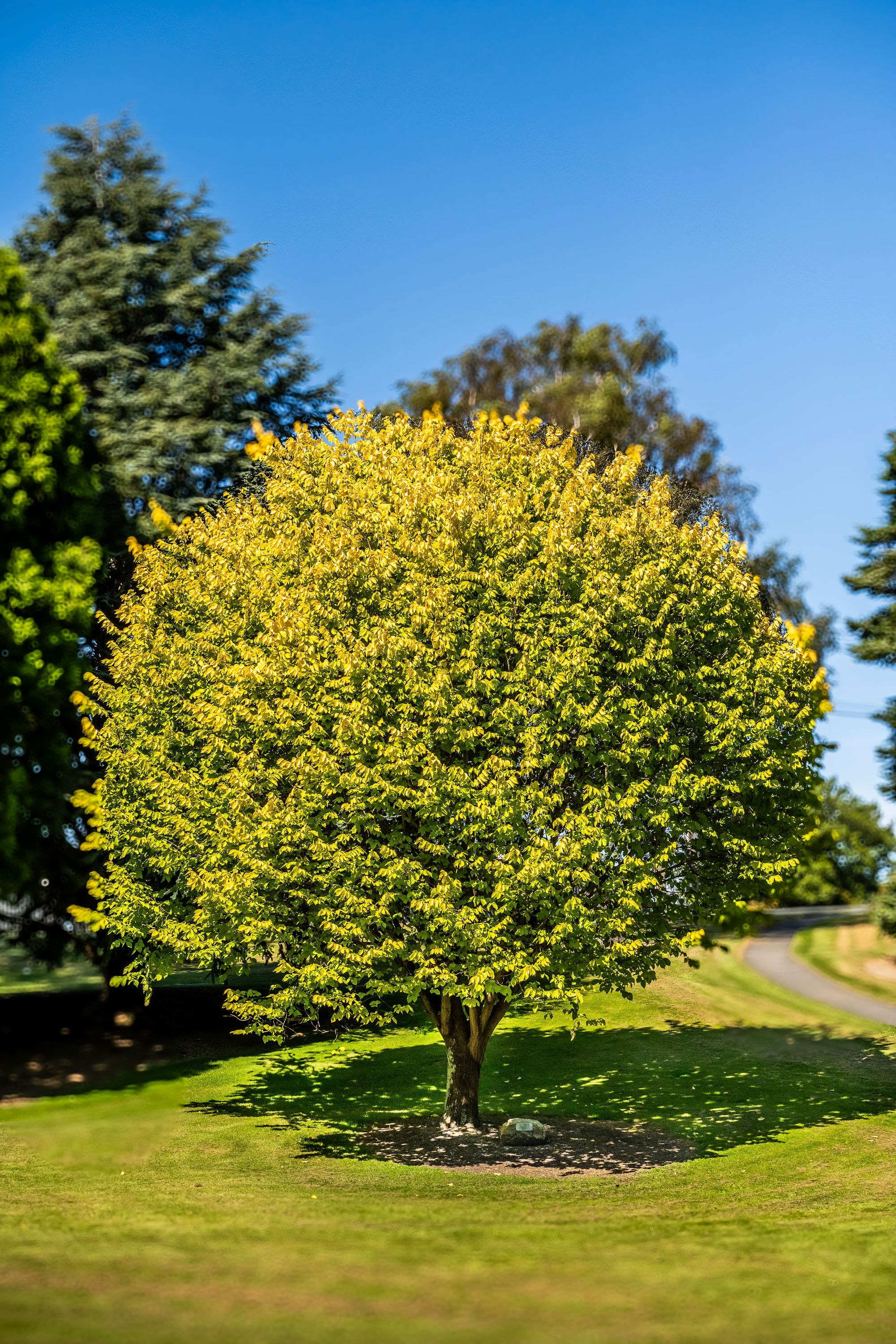 Bannermanpark 40
