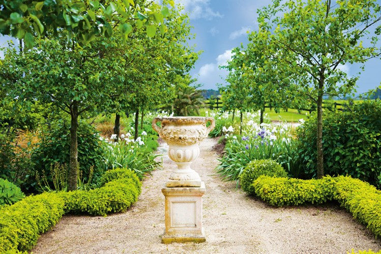 Boxwood 2019 Sally Tagg Programme Image