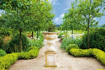 Boxwood 2019 Sally Tagg Programme Image