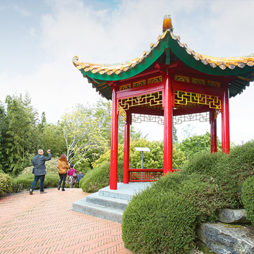 Hamilton Gardens Chinese Scholars Garden