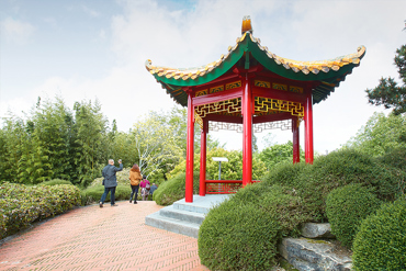 Hamilton Gardens Chinese Scholars Garden