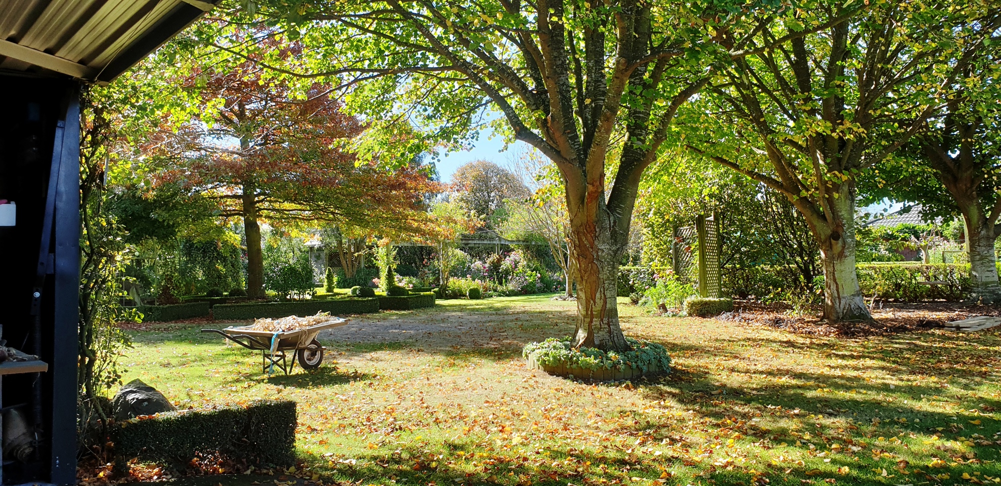 Cedar Park Gardens (2)