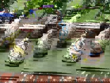 Gh 19