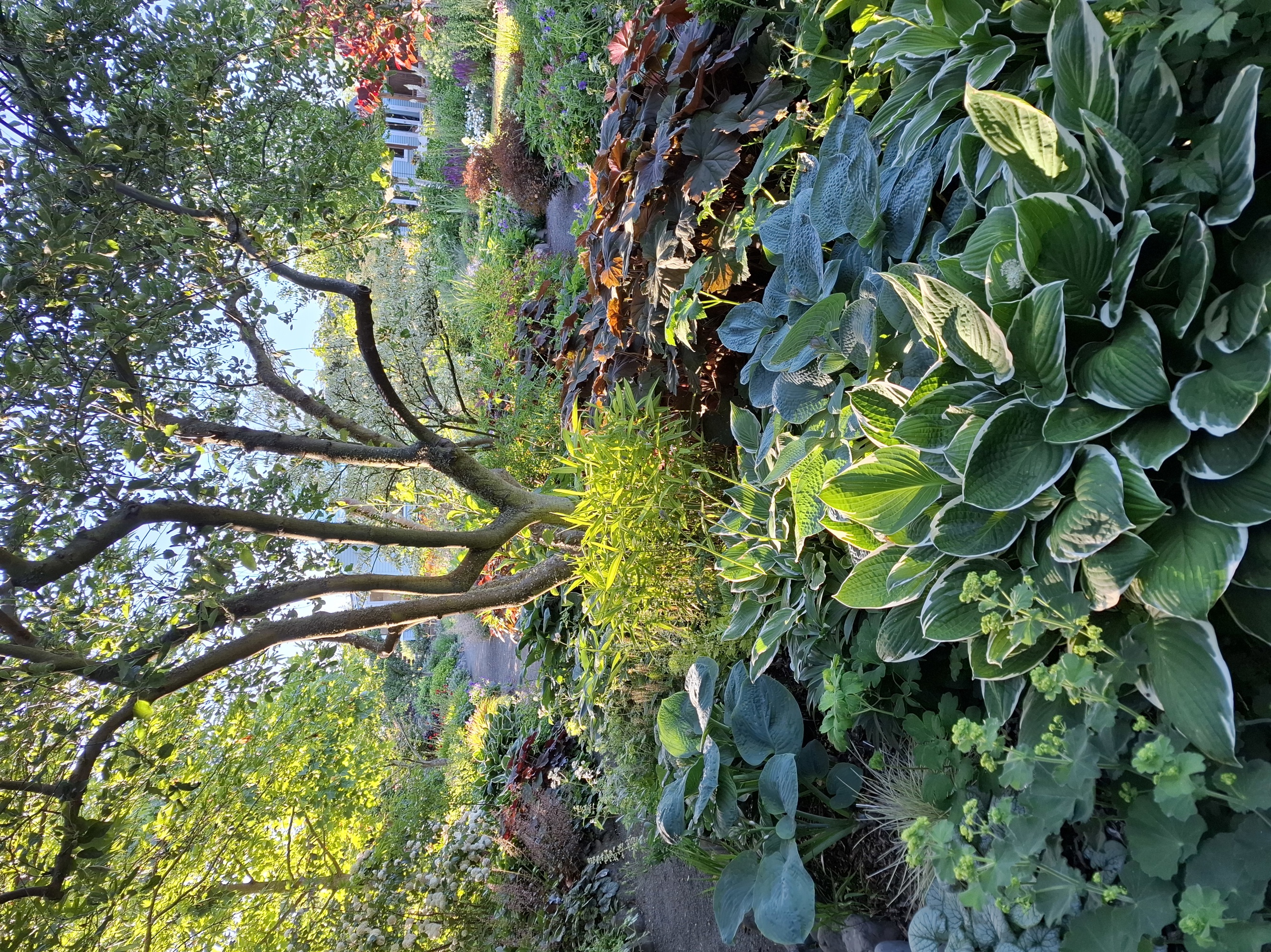  Blue House Garden in Amberley -2