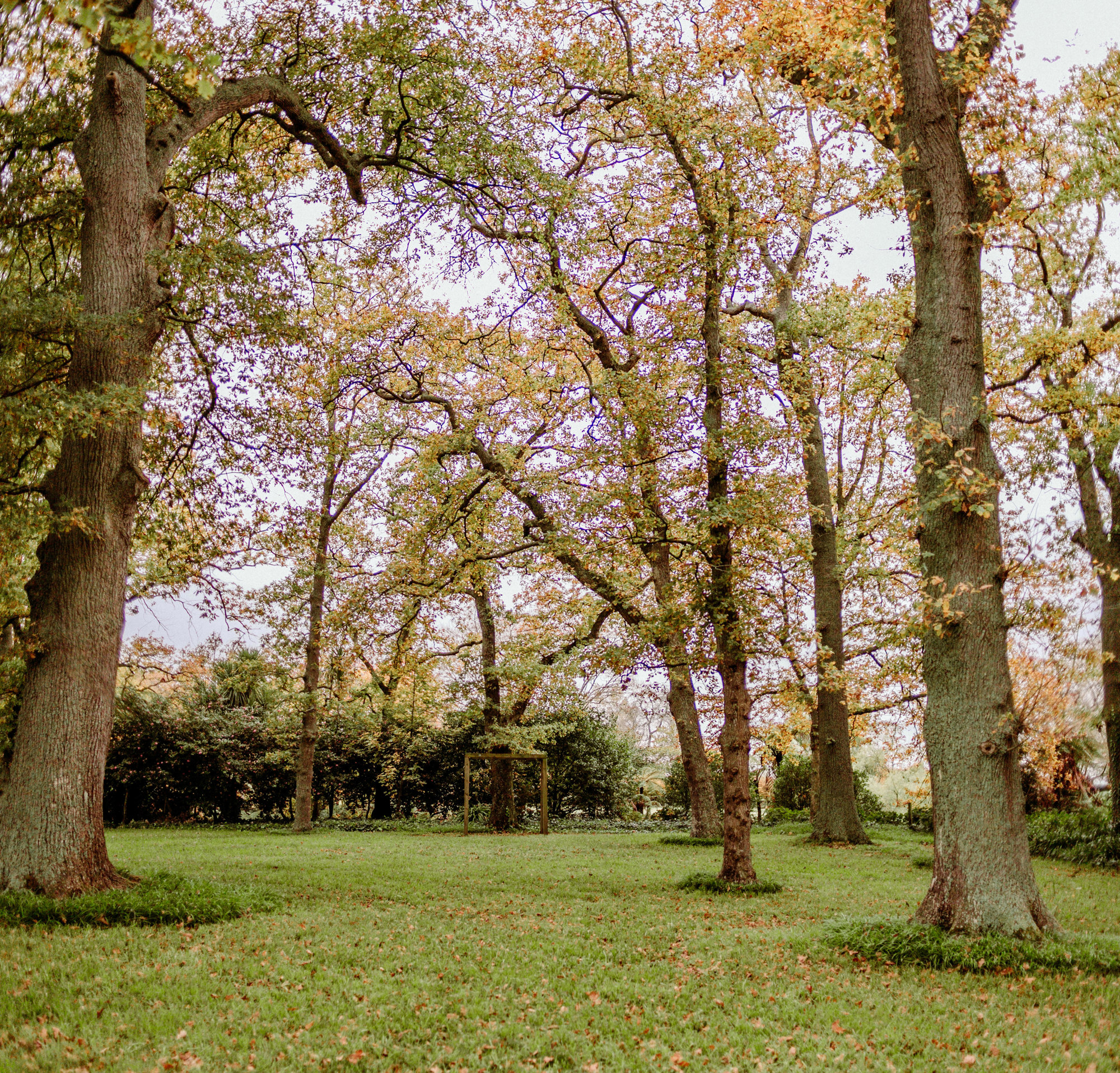 IMG 0855 Pano