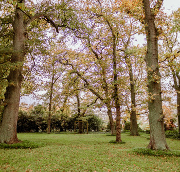 IMG 0855 Pano