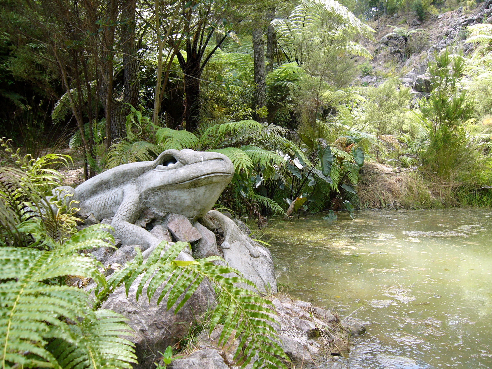Frog Pond