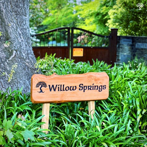 Willow Springs image