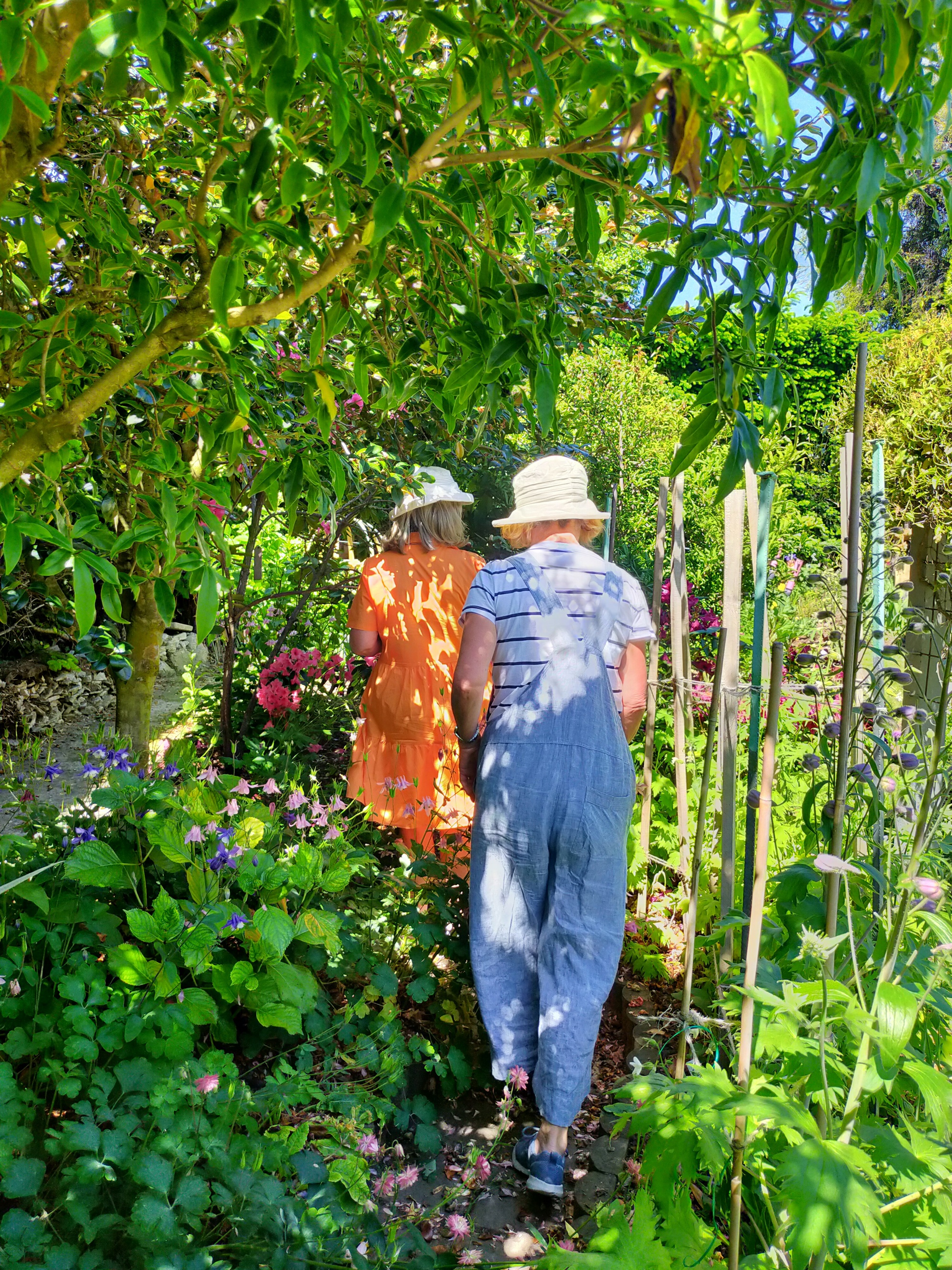 Sisters Immersed In A Garden