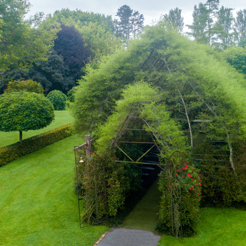 TreeChurch and Gardens image