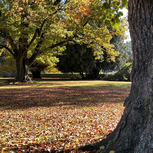 Kakahu Garden image