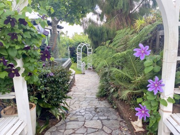 Landscape Path