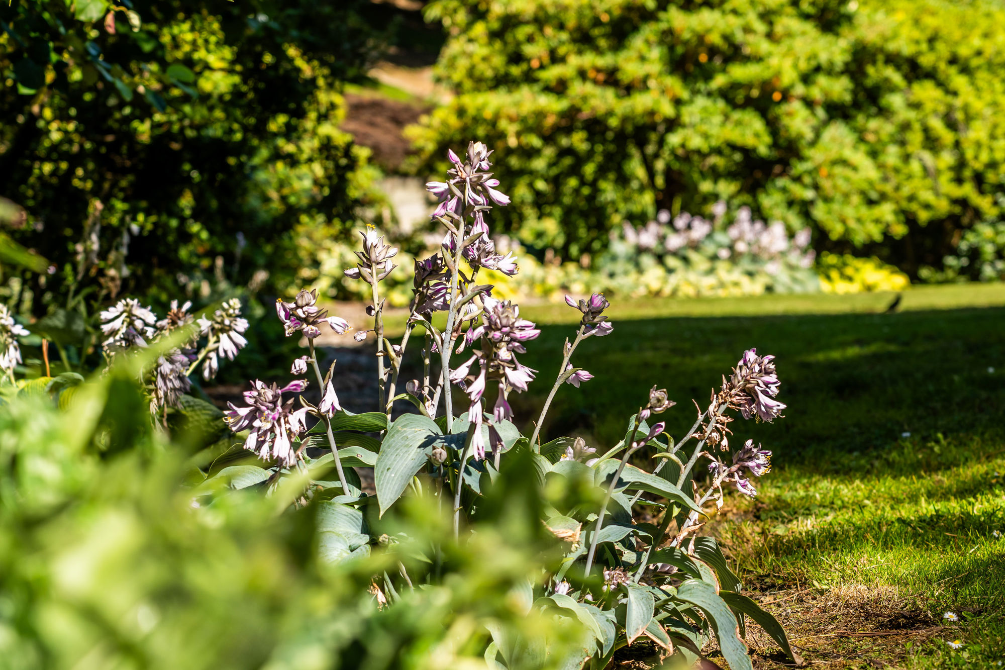 Bannermanpark 36