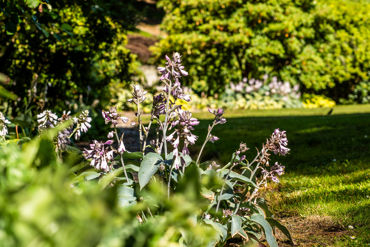 Bannermanpark 36