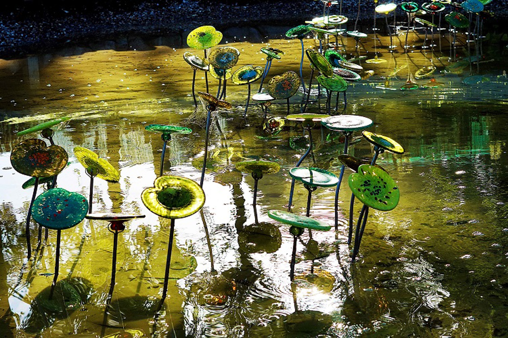 Lava Glass Sculpture Garden Lily Pads (1)