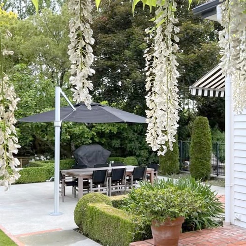 Cottonwood Garden image