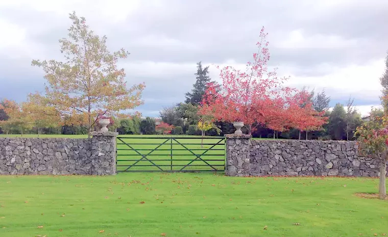 Bailey Garden 2